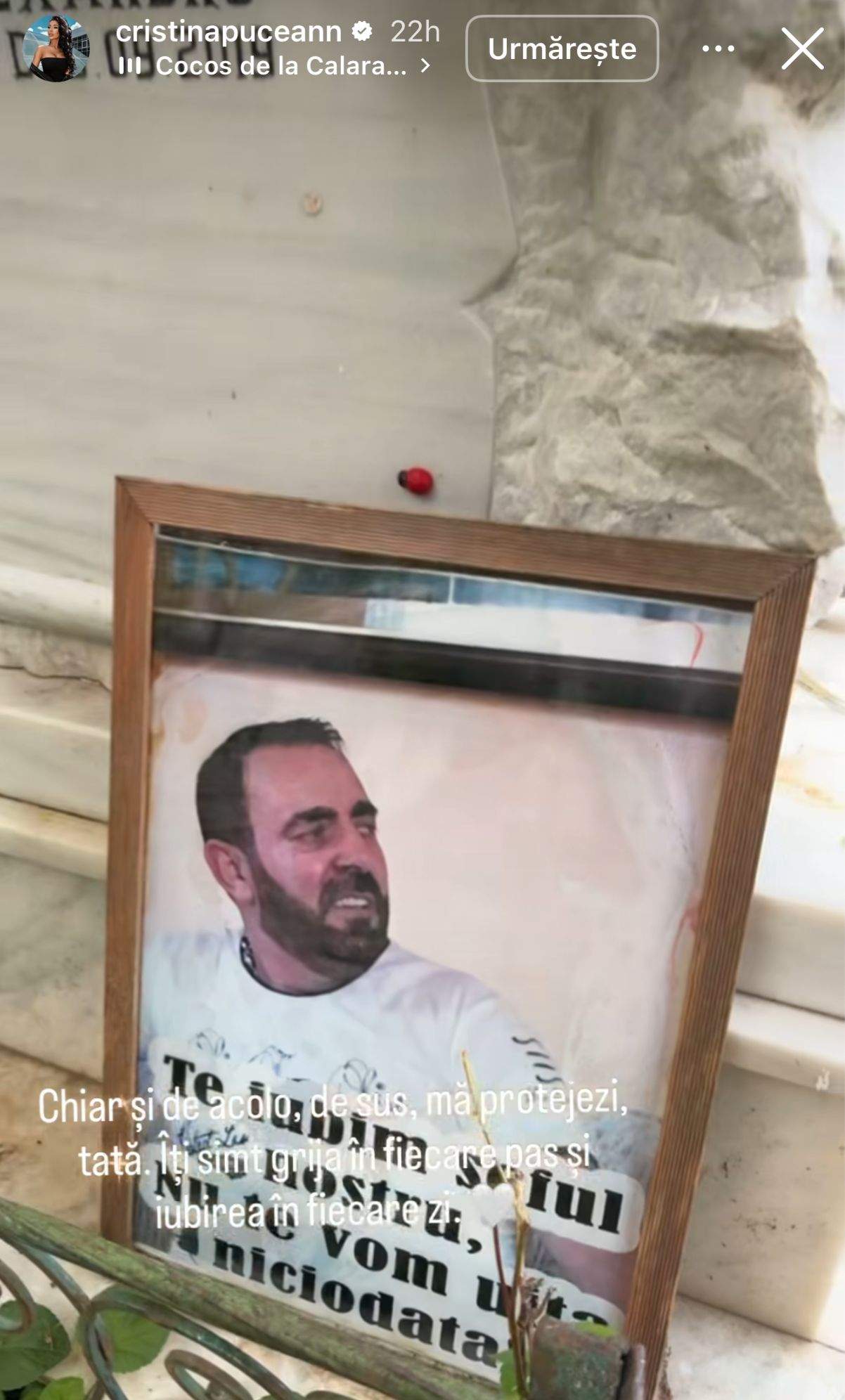 Tatăl Cristinei Pucean