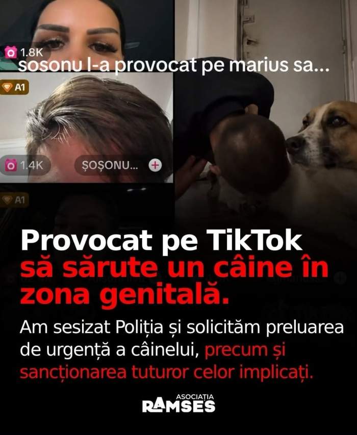 captură de pe TikTok