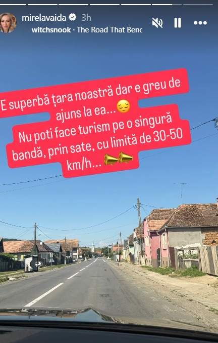 Mesaj Mirela Vaida
