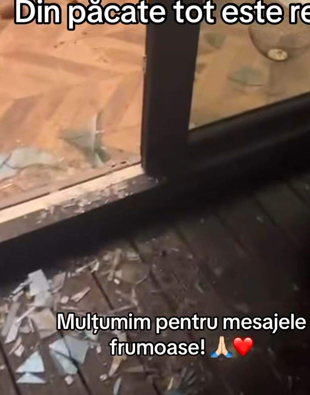 Cabana distrusă