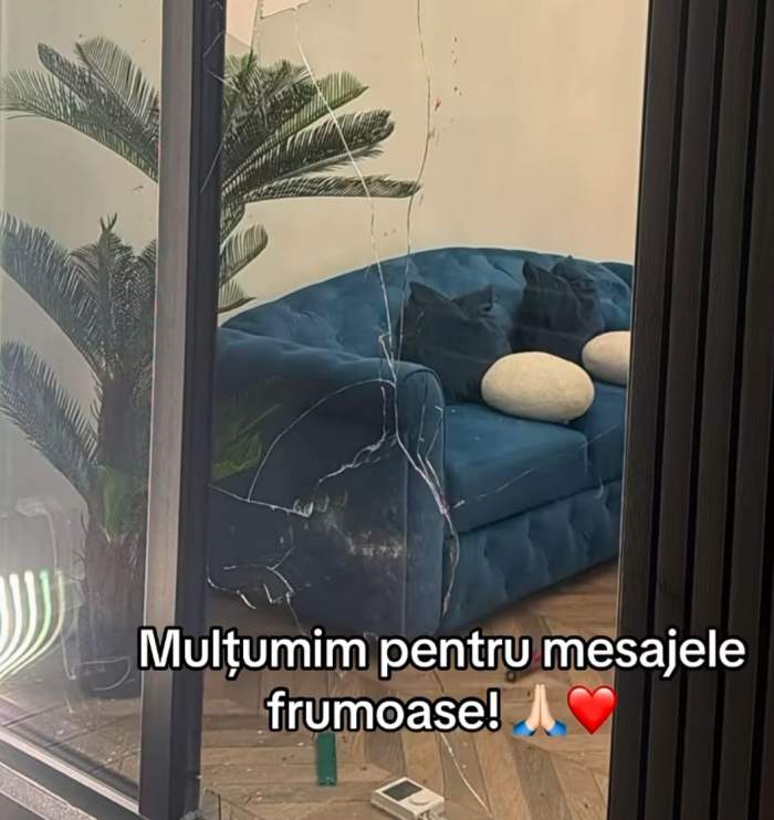 Proprietarul cabanei din Dâmbovița și-a retras plângerea penală! Ce se întâmplă acum cu cei care au distrus locuința