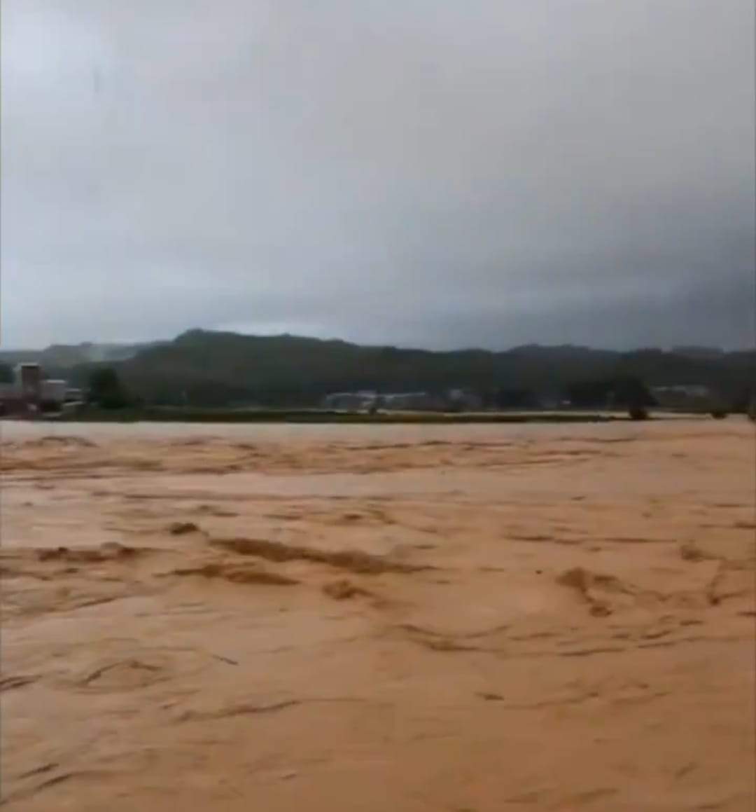 Imagini apocaliptice! Inundațiile severe au umplut de șerpi un oraș întreg | VIDEO