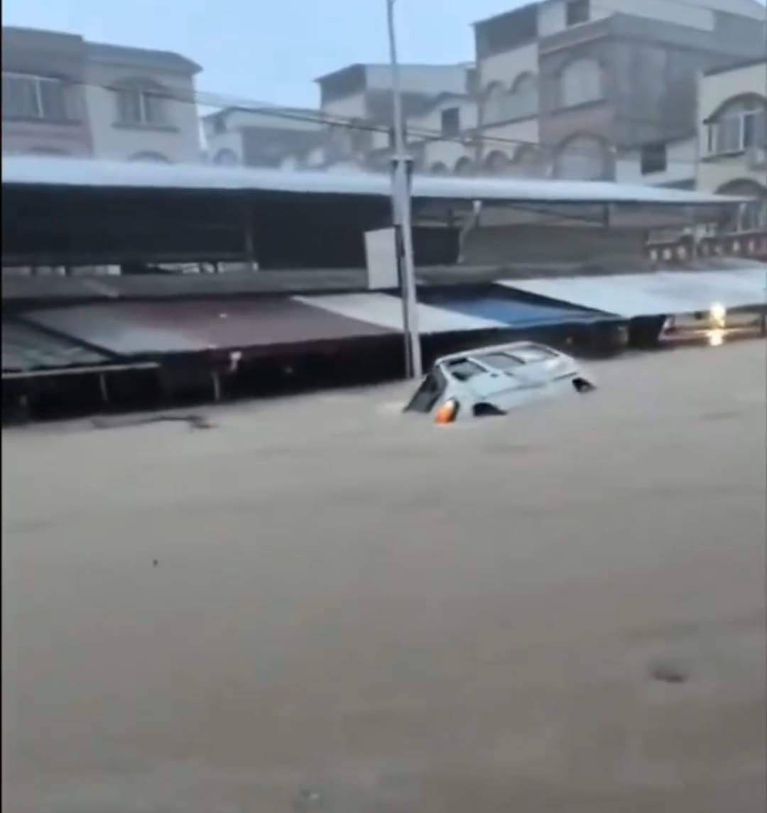 Imagini apocaliptice! Inundațiile severe au umplut de șerpi un oraș întreg | VIDEO