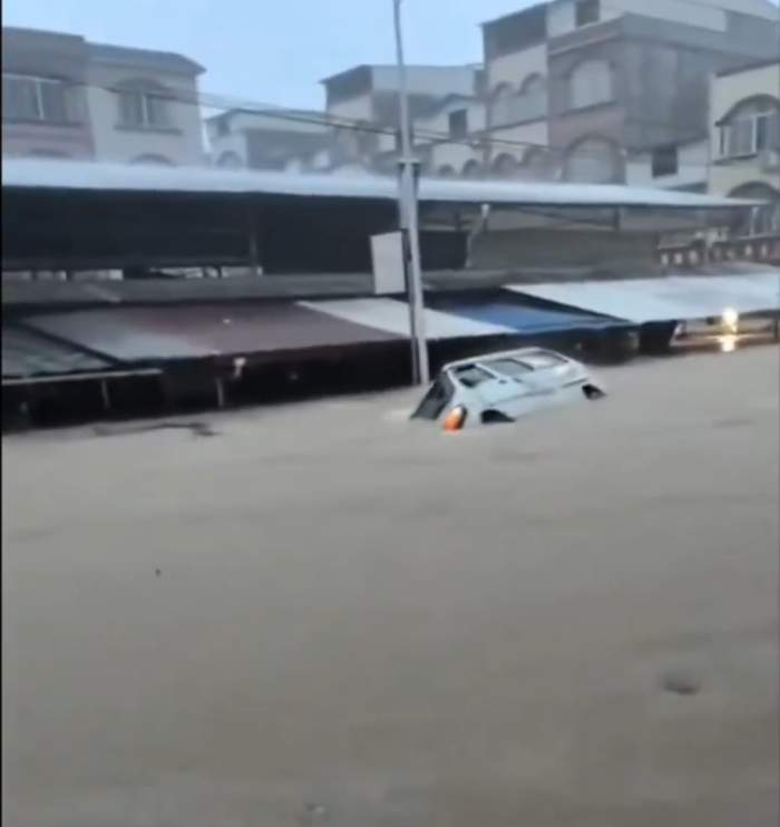 Imagini apocaliptice! Inundațiile severe au umplut de șerpi un oraș întreg | VIDEO