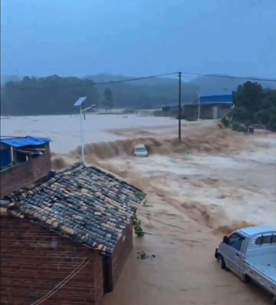 Imagini apocaliptice! Inundațiile severe au umplut de șerpi un oraș întreg | VIDEO