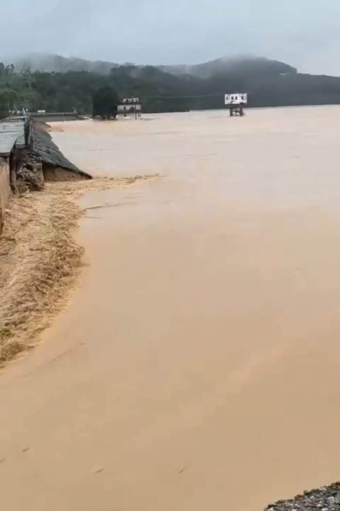 Imagini apocaliptice! Inundațiile severe au umplut de șerpi un oraș întreg | VIDEO