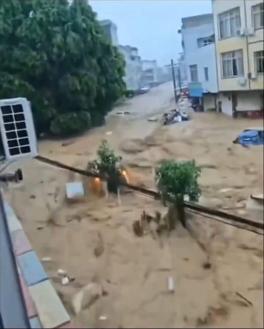 Imagini apocaliptice! Inundațiile severe au umplut de șerpi un oraș întreg | VIDEO