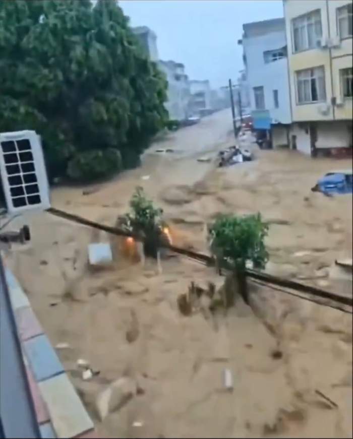 Imagini apocaliptice! Inundațiile severe au umplut de șerpi un oraș întreg | VIDEO