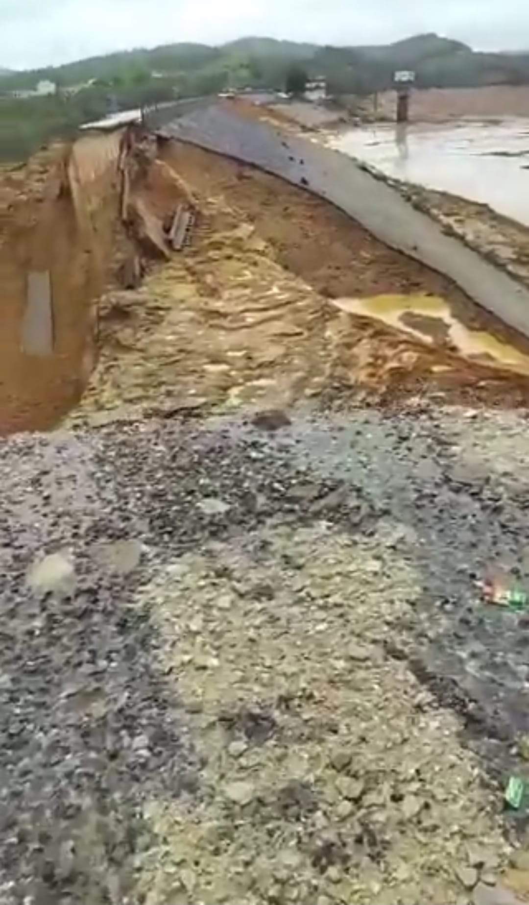 Imagini apocaliptice! Inundațiile severe au umplut de șerpi un oraș întreg | VIDEO
