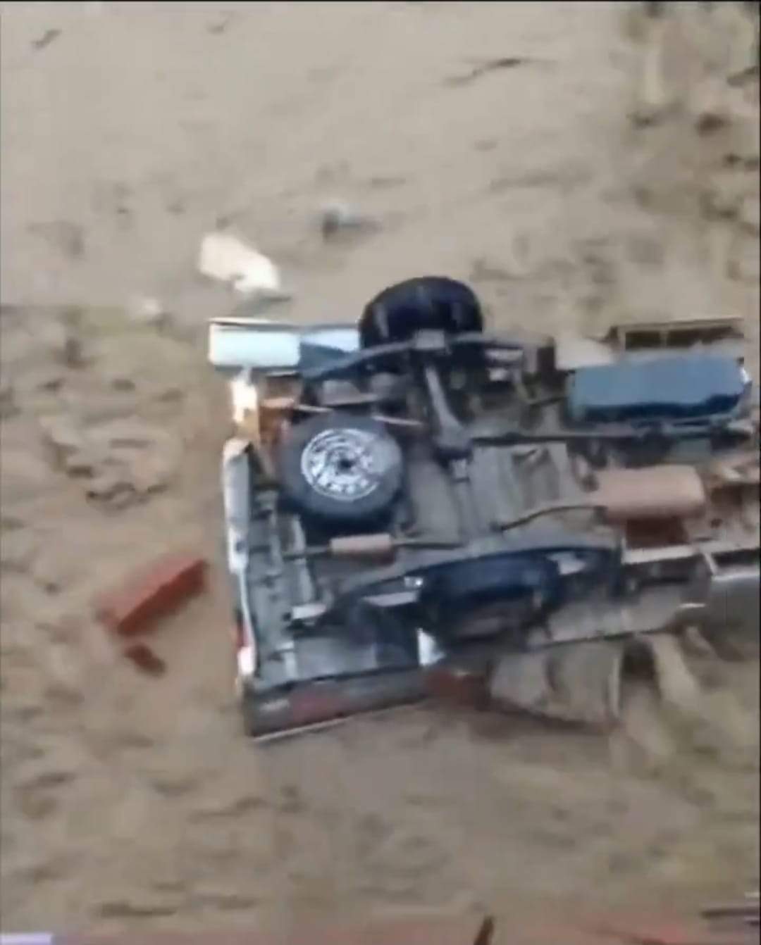 Imagini apocaliptice! Inundațiile severe au umplut de șerpi un oraș întreg | VIDEO