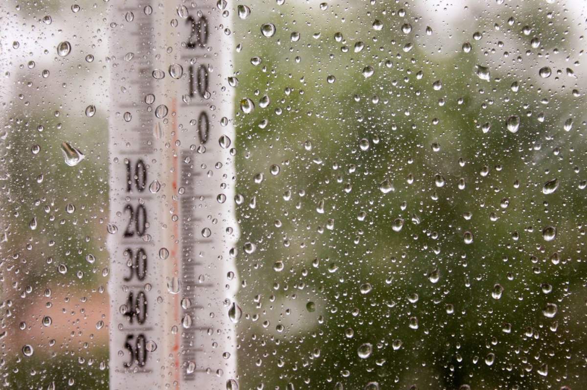 Vremea este caldă și ploioasă. Temperaturi pozitive afară. Fotografie pentru designul tău.