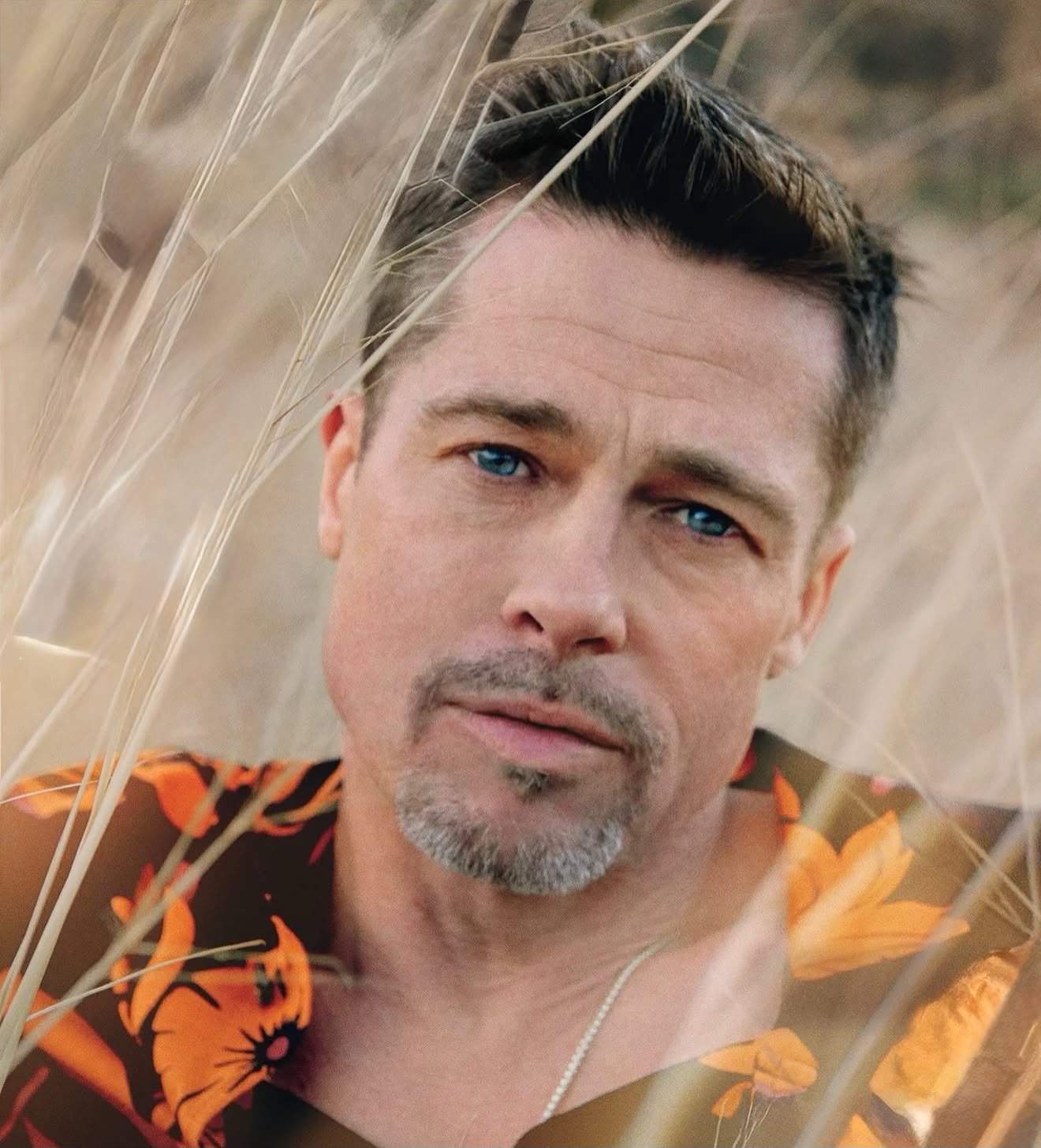 Brad Pitt a recunoscut că a început din nou să consume alcool! Actorul nu s-a mai apropiat de băutură timp de șapte ani