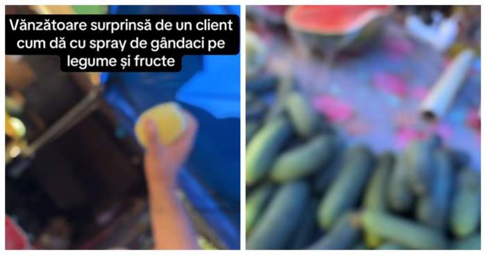taraba legume si fructe