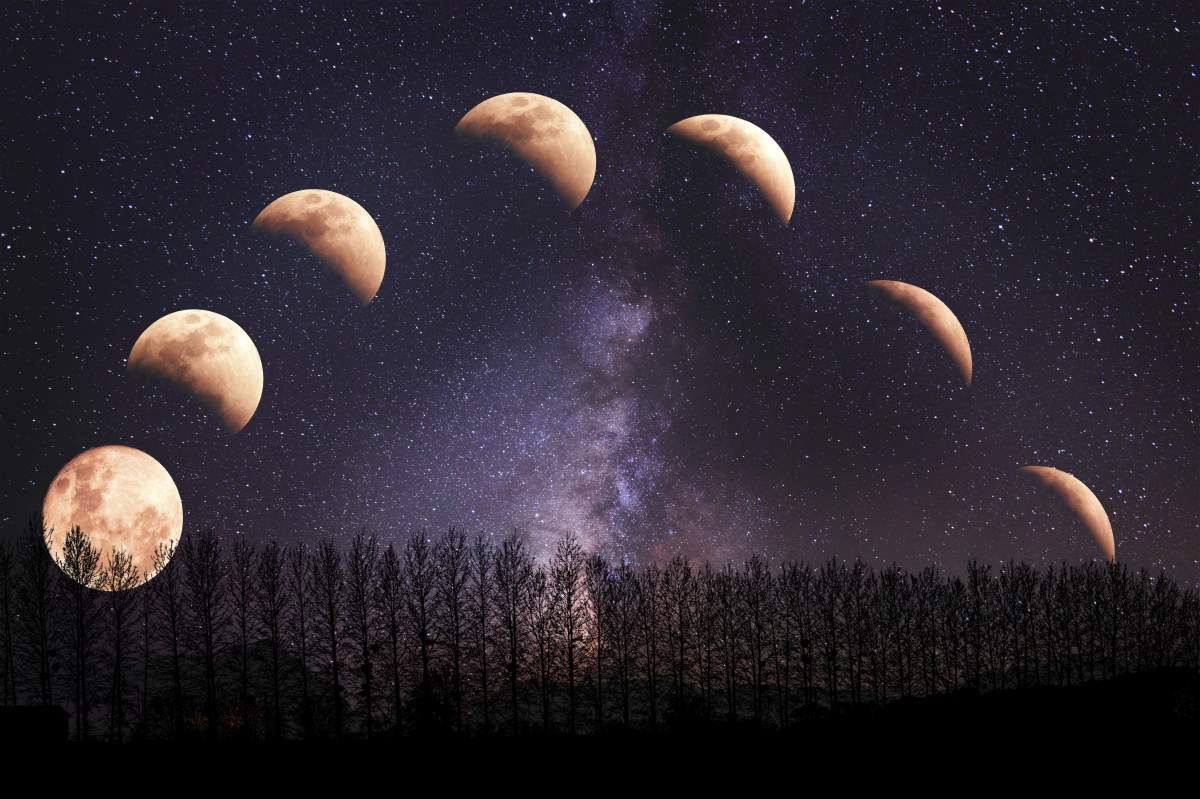 eclispă