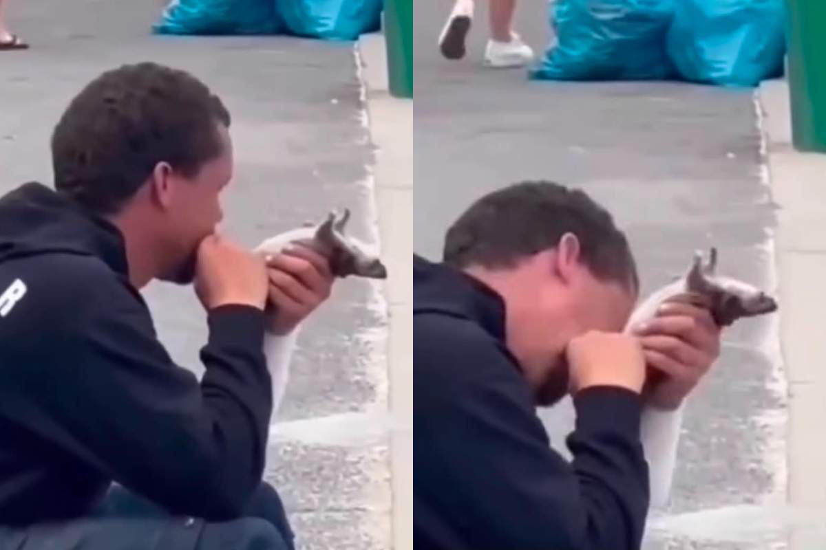 migrant surprins în timp ce mănâncă un șobolan mort pe stradă