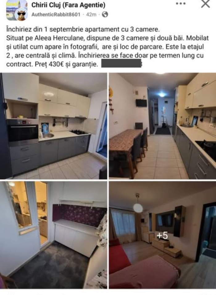 Cum a încercat un țepar să mintă oamenii care își caută chirie. S-a folosit de fotografia Gabrielei Cristea