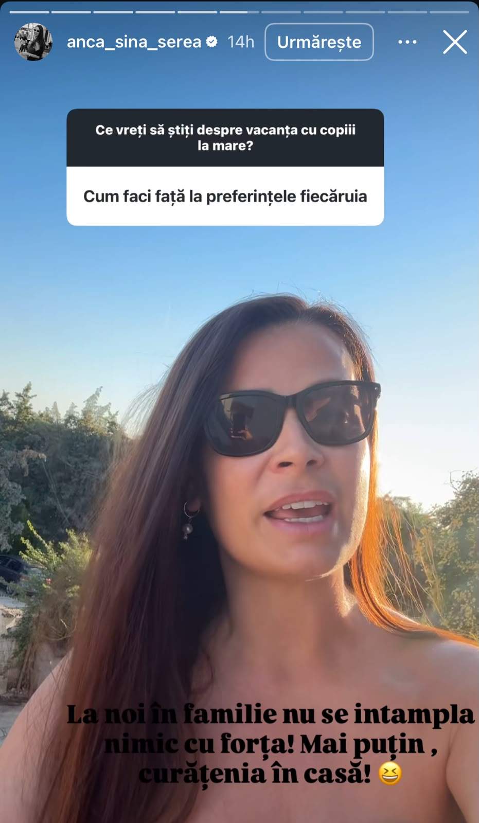 Mesajul Ancăi Serea