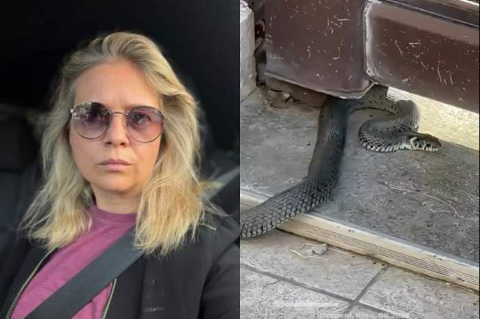 Sonia Simionov s-a trezit cu un șarpe imens la poartă! Jurnalista a făcut primele declarații | VIDEO