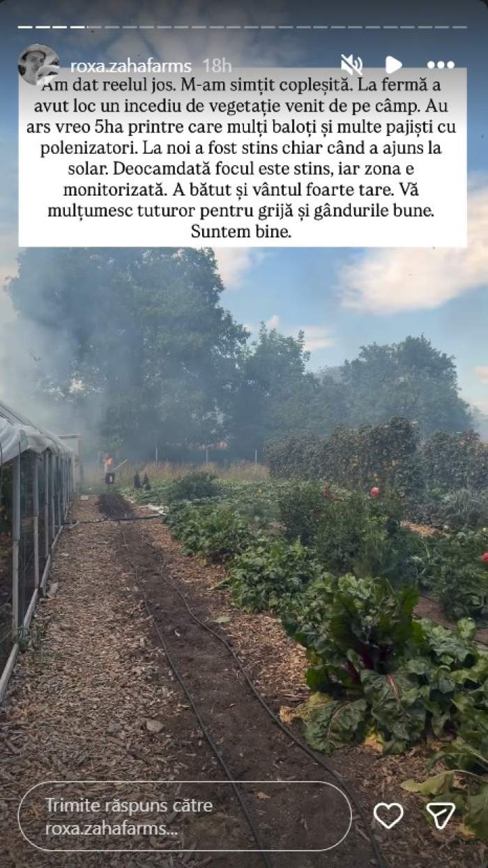 Declarațiile dureroase ale unei femei a cărei fermă a fost cuprinsă de flăcări, în Hunedoara. Nu a putut pleca până nu a salvat un câine