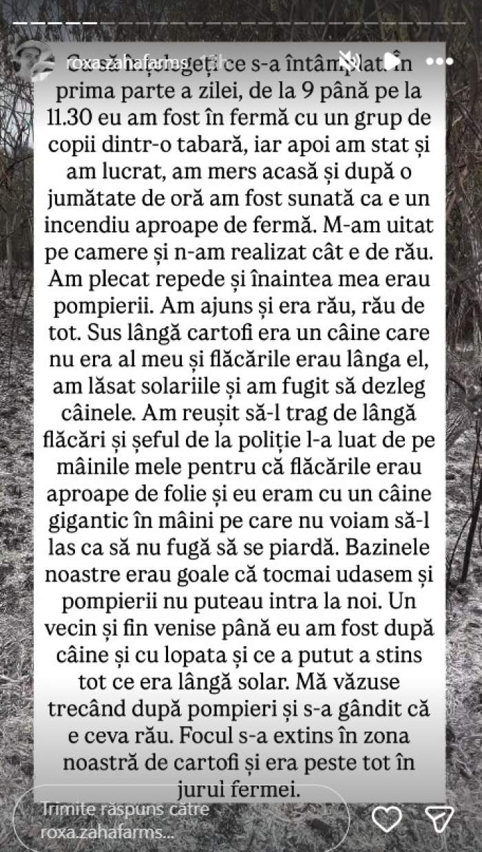 Declarațiile dureroase ale unei femei a cărei fermă a fost cuprinsă de flăcări, în Hunedoara. Nu a putut pleca până nu a salvat un câine