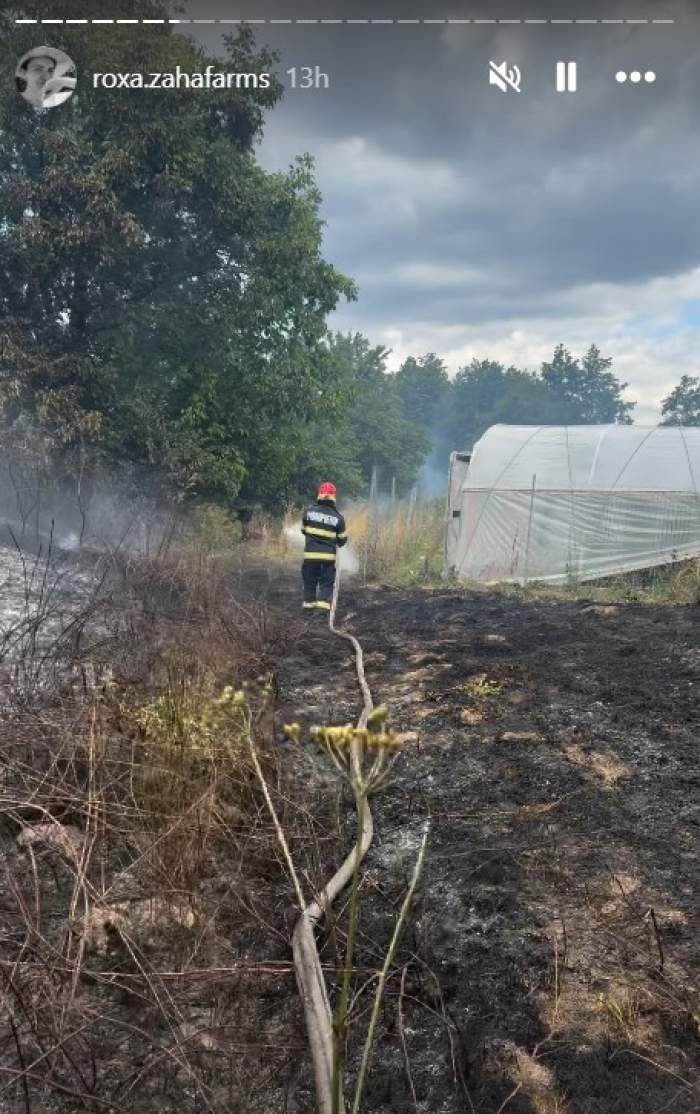 Declarațiile dureroase ale unei femei a cărei fermă a fost cuprinsă de flăcări, în Hunedoara. Nu a putut pleca până nu a salvat un câine