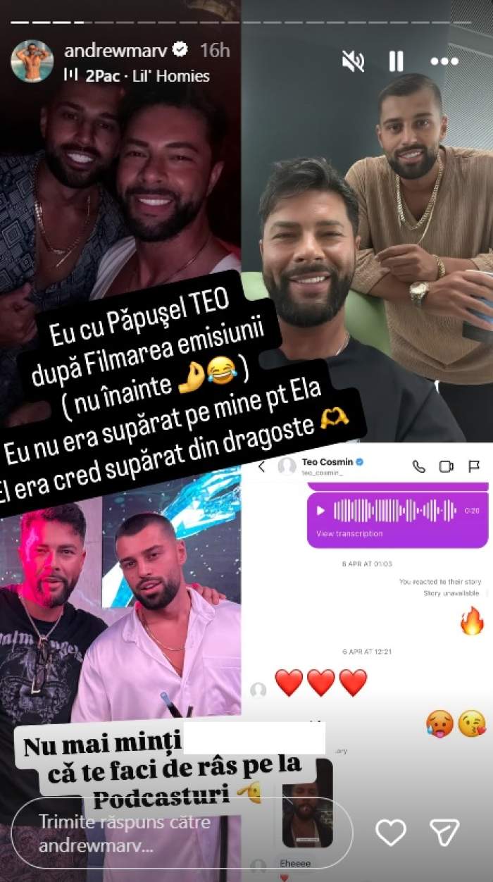 andrei vasile si teo costache insula iubirii