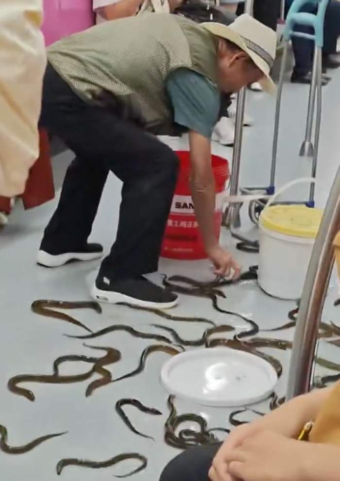 Scene de groază într-un metrou din China! Zeci de țipari au evadat într-un vagon plin cu pasageri