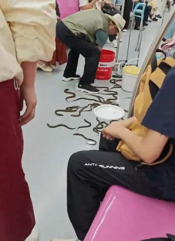 Scene de groază într-un metrou din China! Zeci de țipari au evadat într-un vagon plin cu pasageri