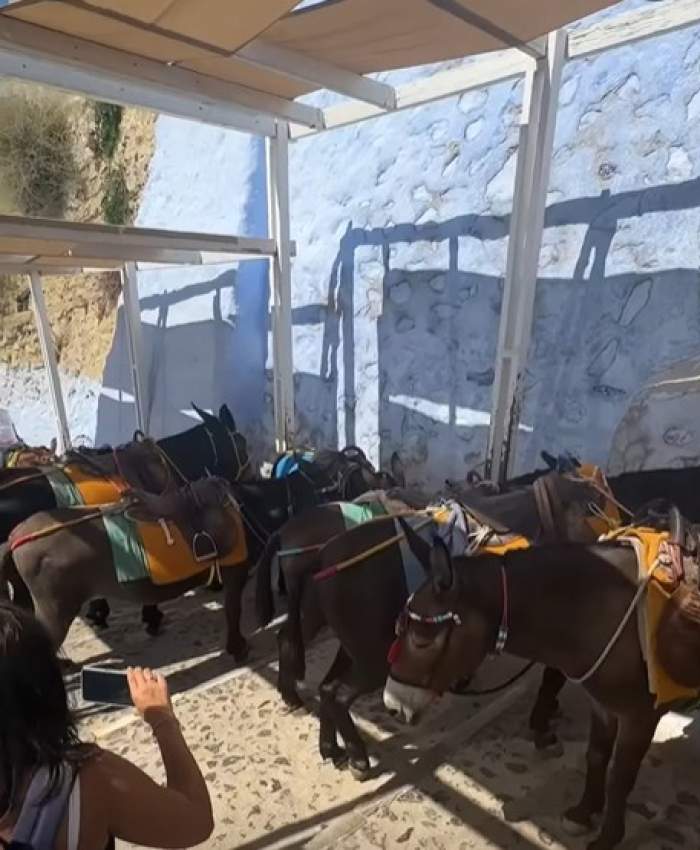 Ce nu îi place prezentatorului Alexandru Constantin în Santorini: „Nu am putut să trec nepăsător”