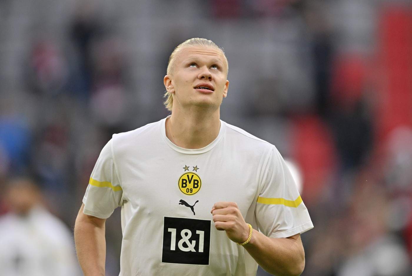 erling haaland