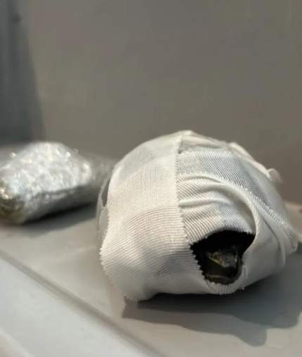 O femeie a încercat să treacă prin aeroport cu două broaște țestoase ascunse în sutien. Ce au descoperit agenții de securitate