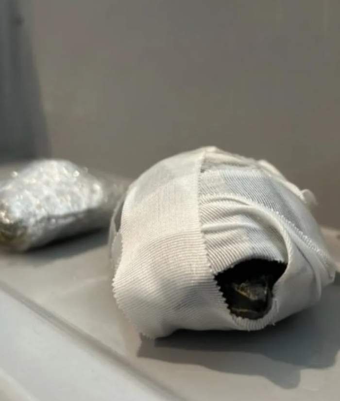 O femeie a încercat să treacă prin aeroport cu două broaște țestoase ascunse în sutien. Ce au descoperit agenții de securitate
