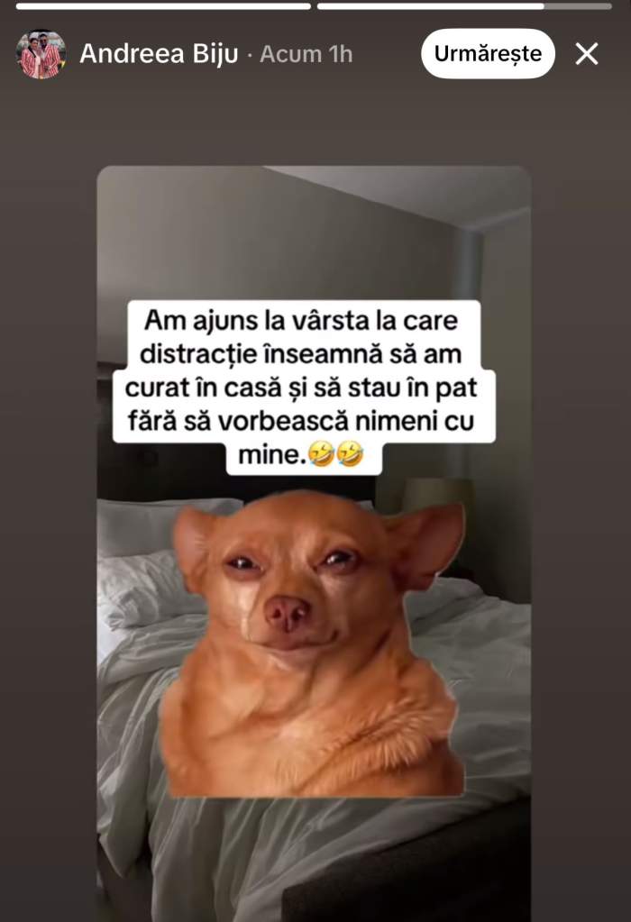Mesajul Andreei Biju