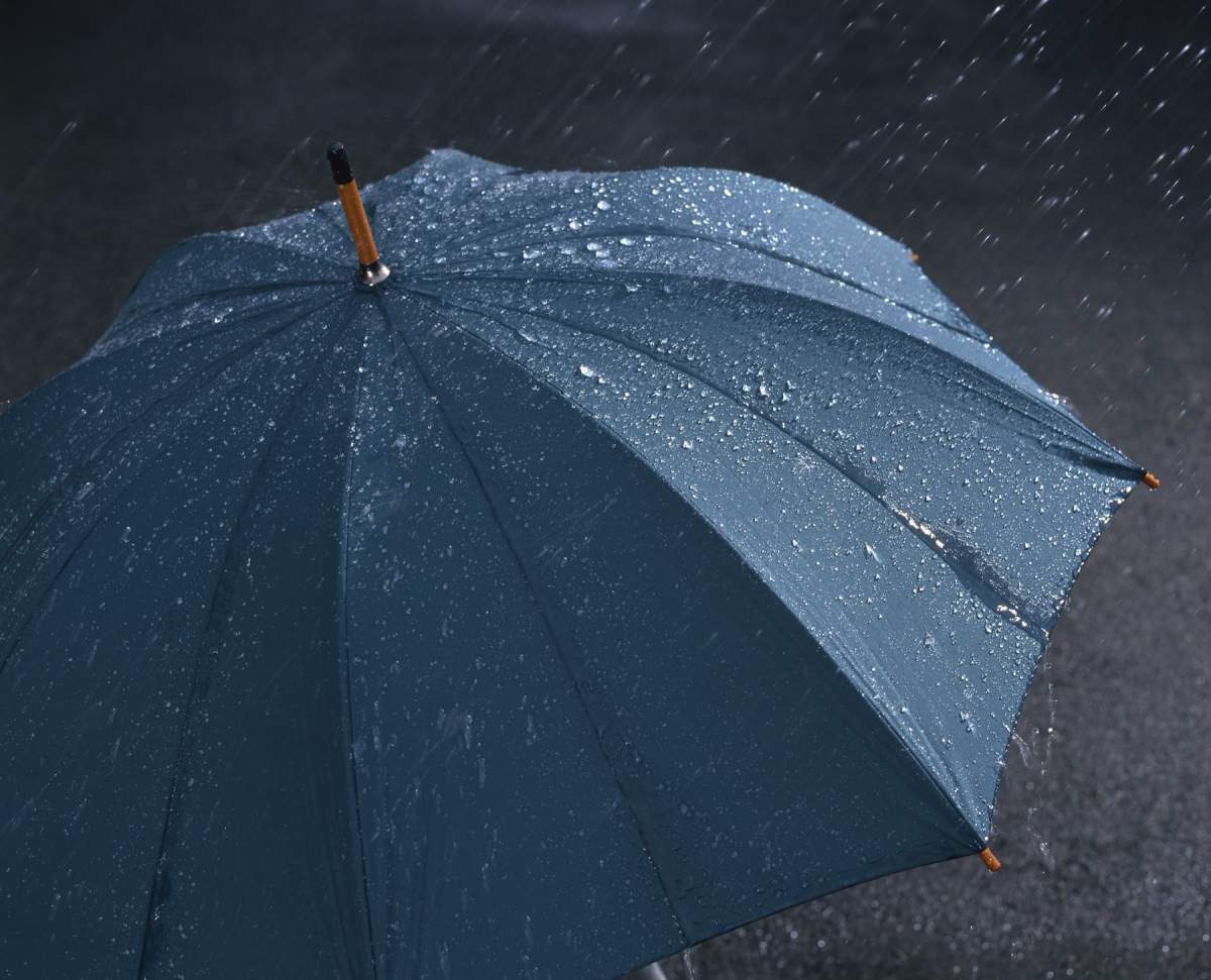umbrelă