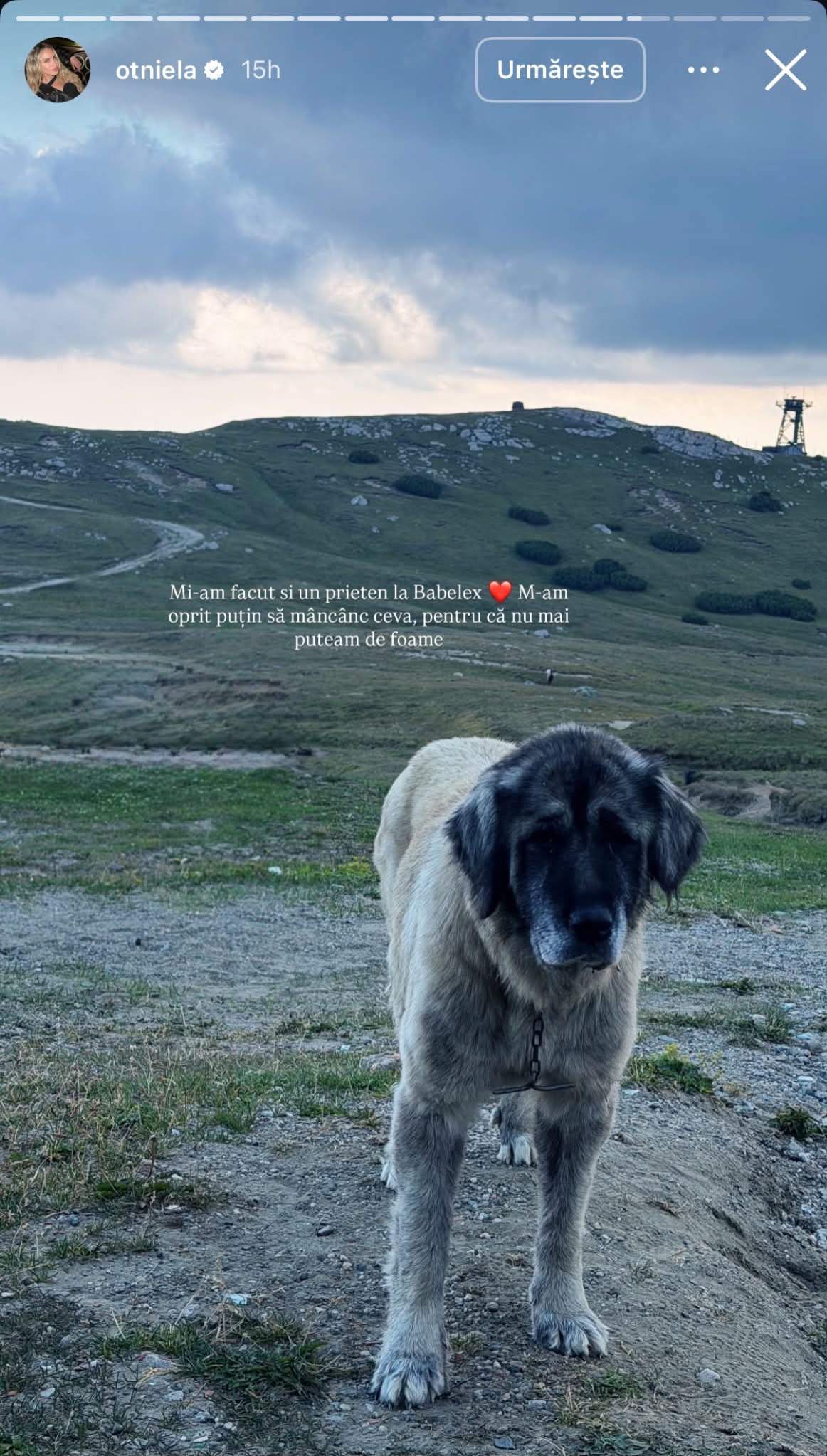 Otniela, experiența pe care puține femei ar face-o! A ieșit complet din zona de confort