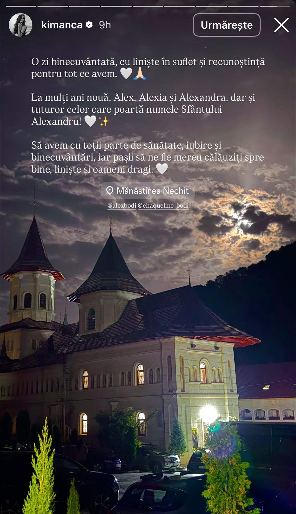 Mesajul Ancuței