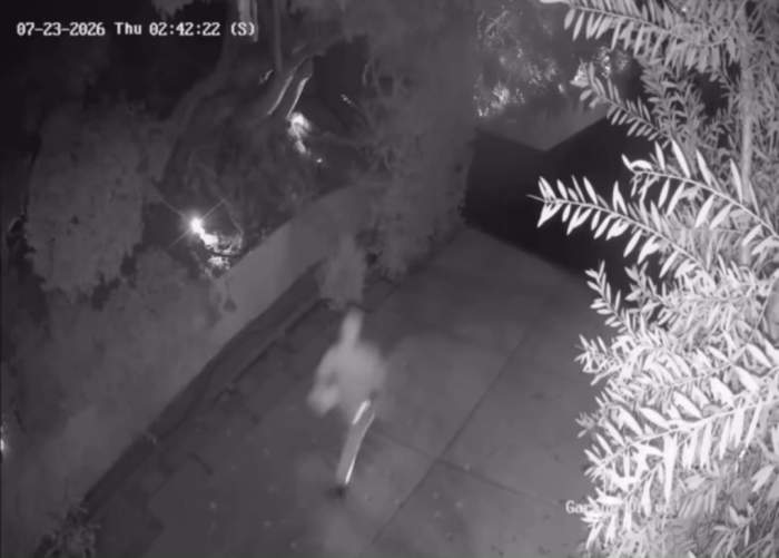 Casa lui Dragoș Săvulescu din Los Angeles a fost spartă! Imagini de pe camerele de supraveghere. Ce au furat