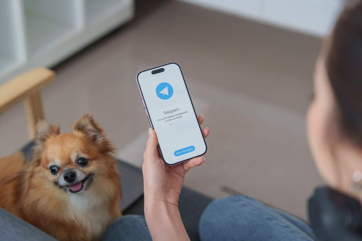 Mâna unei femei care ține un iPhone cu aplicația de socializare Telegram pe ecran, lângă câinele ei.