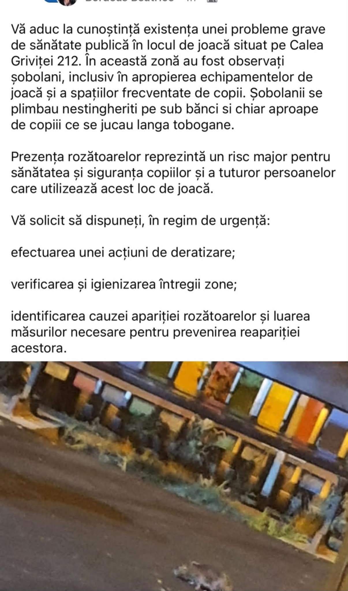 O mămică din Sectorul 1 atrage atenția asupra unei probleme grave la locurile de joacă! A adus dovezi