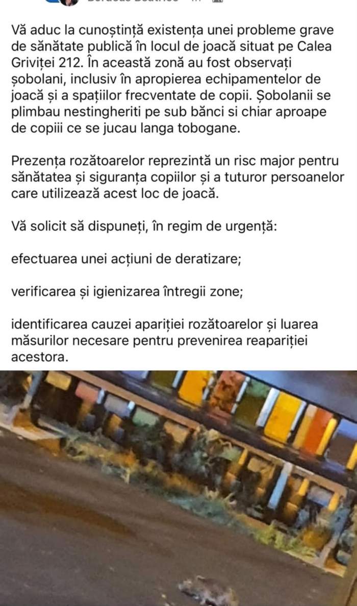 O mămică din Sectorul 1 atrage atenția asupra unei probleme grave la locurile de joacă! A adus dovezi