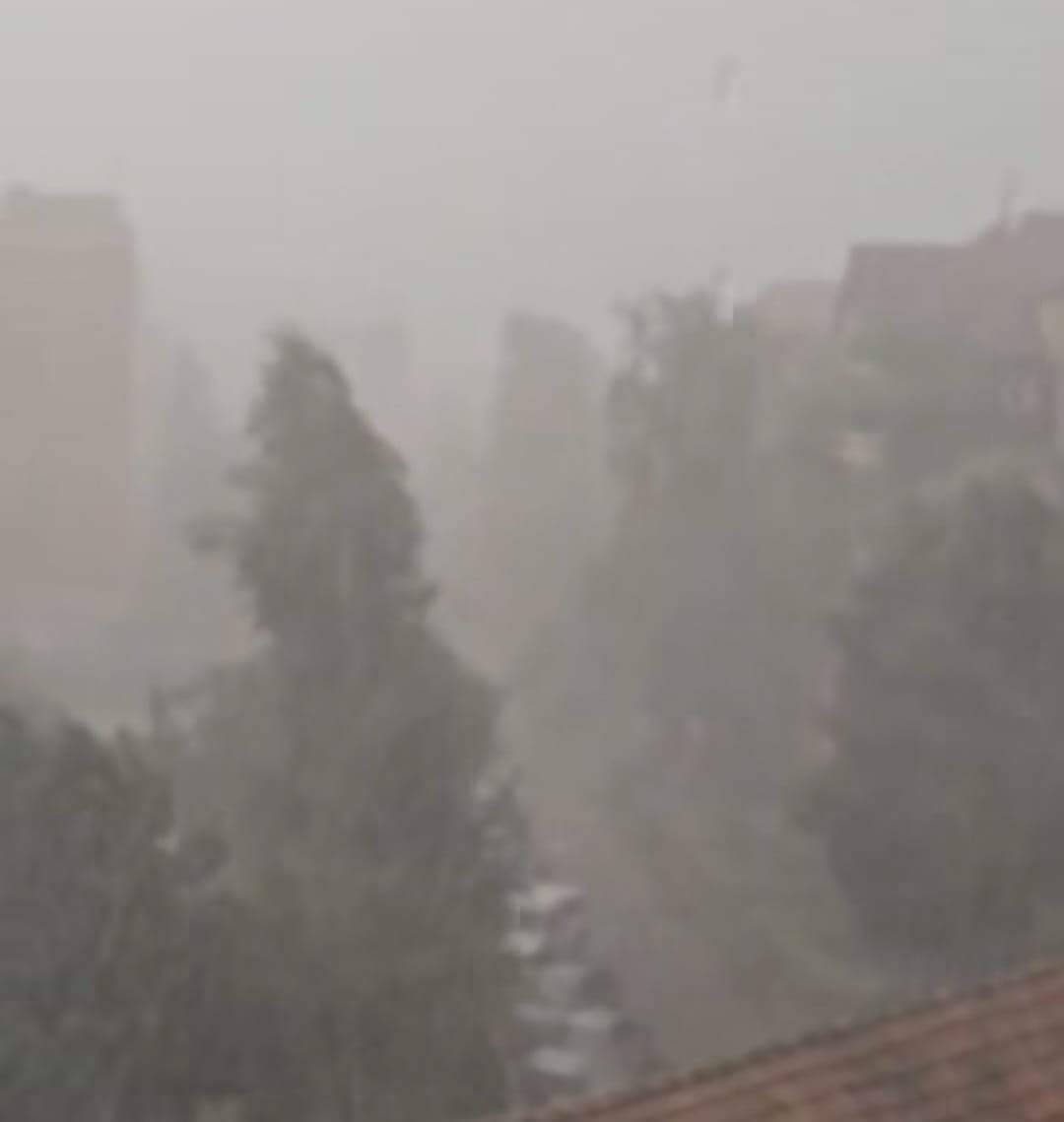 Ploile și furtuna au făcut prăpăd în mai multe orașe din România! Locuitorii au primit mesaje RO-Alert | FOTO