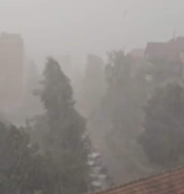 Ploile și furtuna au făcut prăpăd în mai multe orașe din România! Locuitorii au primit mesaje RO-Alert | FOTO