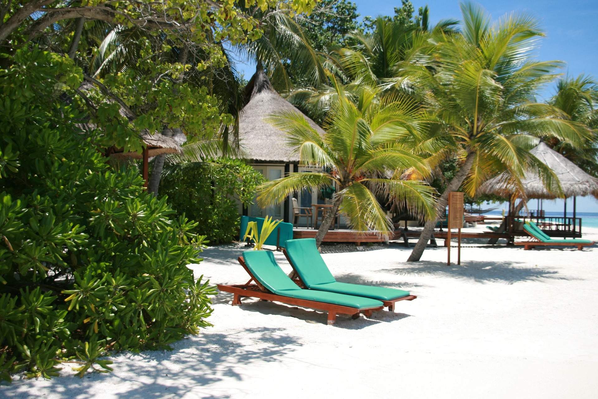 Nu trebuie să dai 10.000 euro să mergi în Maldive! Acest paradis nu e doar pentru bogați! Cum poți să vizitezi insulele la mai puțin de o pătrime de preț