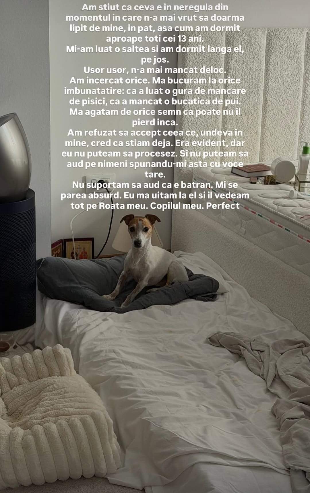 Câinele Teodorei Stoica, Roată, a murit! Fiica lui Mihai Stoica trece prin momente grele: ”Iubirea vieții mele”