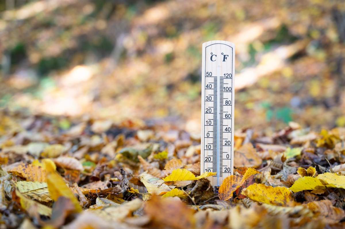 Termometru cu frunziș de toamnă, anotimpul toamnei, măsurarea temperaturii, prognoză meteo, zi rece și ploioasă