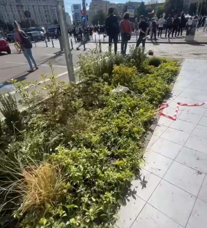 Cum arată Piața Victoriei după protestul fermierilor. Ce daune au produs instigatorii | VIDEO