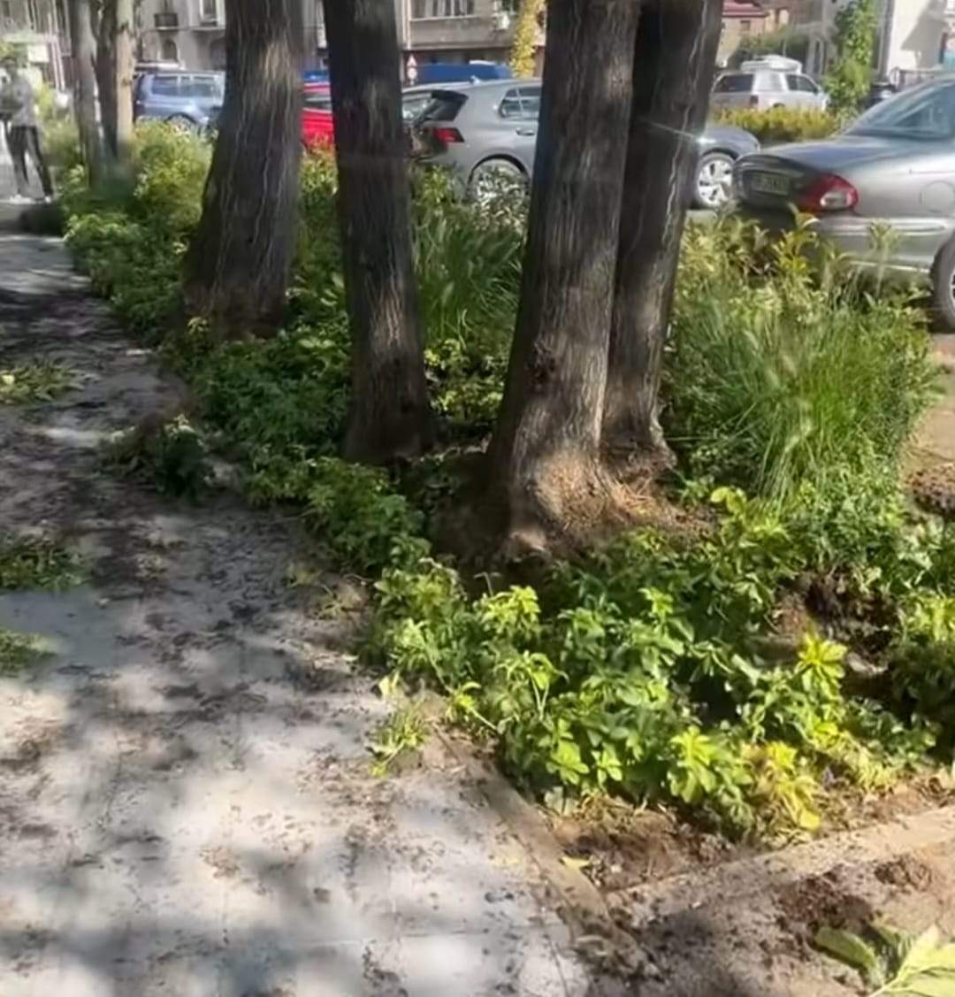 Cum arată Piața Victoriei după protestul fermierilor. Ce daune au produs instigatorii | VIDEO