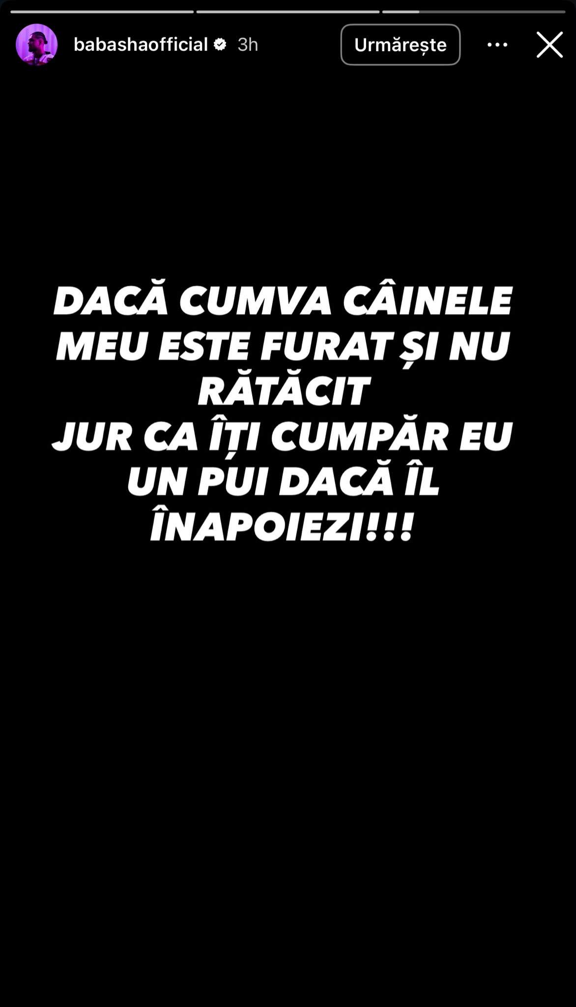 Anunțul lui Babasha