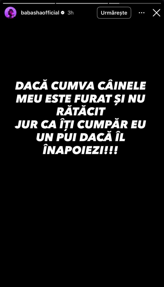 Anunțul lui Babasha