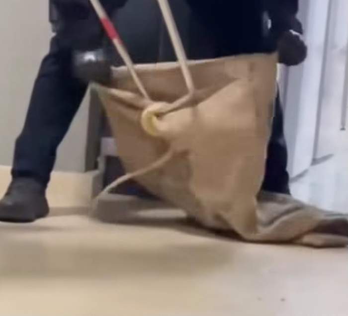Șarpele capturat